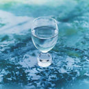 【江戸切子】Ingrid XANA edokiriko