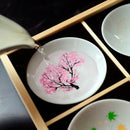 【平盃9点セット】冷感 日本伝統 | 美濃焼 | 丸モ高木陶器