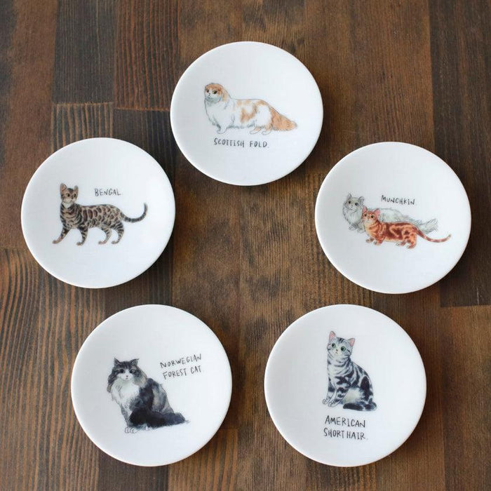 【豆皿5枚セット】ゆる猫 | 美濃焼 | 丸モ高木陶器