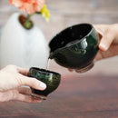 【吹きガラス】Izumo 酒器3点セット 彩 ~sai~ グリーン