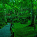 【本革ケース】SHRINK 翠緑の古寺 calm-green ソフトシュリンク牛革 (別注カラー) | RAKUKEI