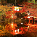 【本革ケース】SHRINK 蘇芳の水鏡 Burgundy-Red ソフトシュリンク牛革(別注カラー) | RAKUKEI