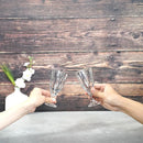 【吹きガラス】SUN GLASS STUDIO KYOTO 玄 酒器セット (酒差し, 盃1個)