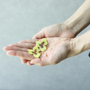 【ピアス】tint パンジー (S) 月光 | 京友禅 | Morphosphere