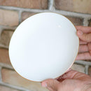 【磁器】大倉陶園 ゴールドライン（クープシェープ） カップ＆ソーサー・19cmデザート皿ペアセット