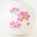 【ライト・照明】レターセット提灯 コスモス | 岐阜提灯 | オゼキ