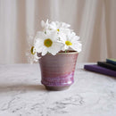 【大谷焼】佳実窯 カップ 2点セット (辰砂, 青釉)