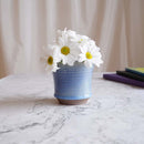 【大谷焼】佳実窯 カップ 2点セット (辰砂, 青釉)