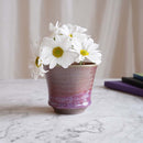 【大谷焼】佳実窯 カップ 辰砂