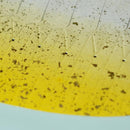 【折り紙トレイ】紙の貝殻椀 砂子黄 | 加飾技法