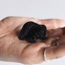 【置物】sinkop 吠え熊 (黒) | アイヌ工芸