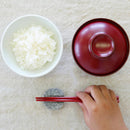 【箸置き】香川県から 庵治石の はじめての箸置き | “0歳からの伝統ブランドaeru”