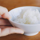 【お茶碗】佐賀県から 有田焼の はじめてのお茶碗 | “0歳からの伝統ブランドaeru”