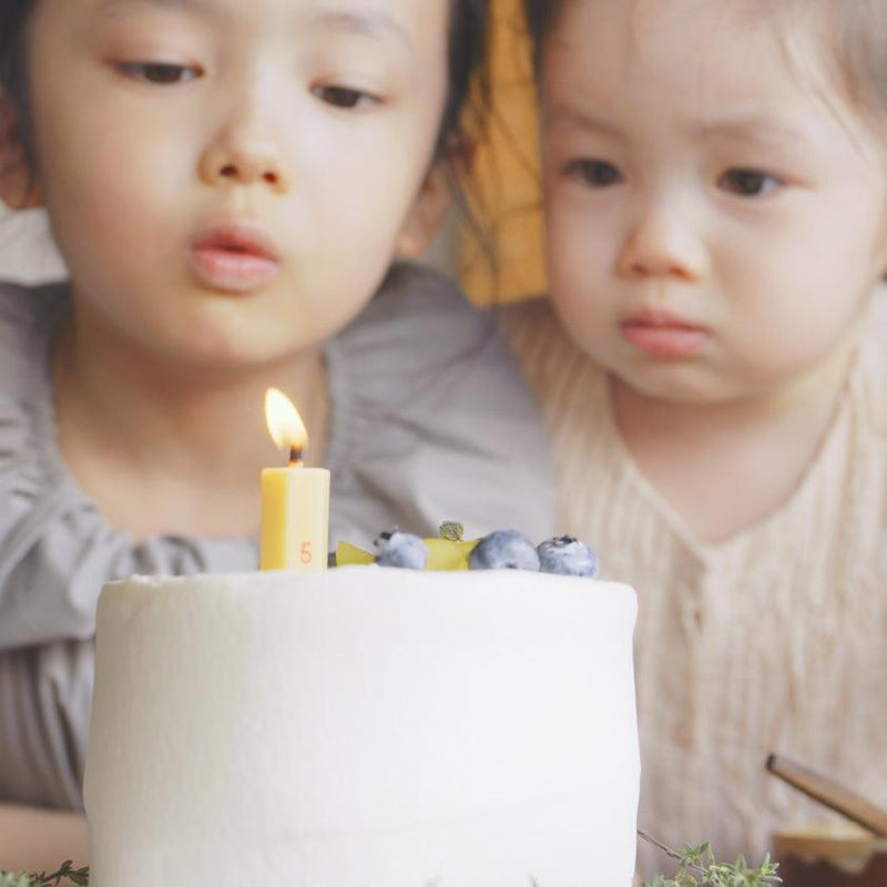 【キャンドル】滋賀県から 米ぬかの 誕生祝い和ろうそく | “0歳からの伝統ブランドaeru”