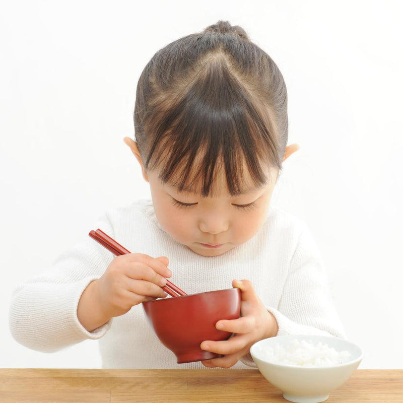 【箸】石川県から 漆塗りの はじめてのお箸 | “0歳からの伝統ブランドaeru”
