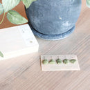 【お香5個入り】抹茶 縁起物 | 印香 | インセンスキッチン