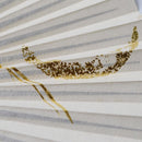 【扇子】三ヶ月 (白) 金箔 | 唐紙 | 景美風月