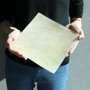 【皿2枚セット】角皿 22cm 100金 & 銀 | 西陣織 | 江村商店