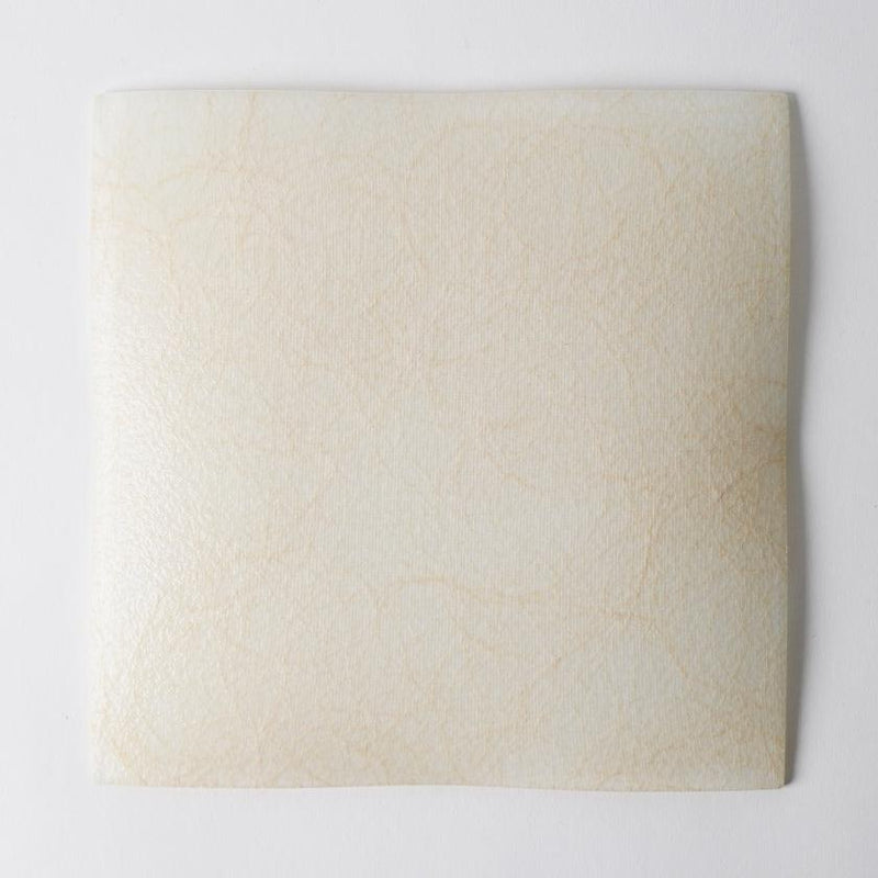 【皿2枚セット】角皿 22cm 100金 & 銀 | 西陣織 | 江村商店
