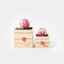 【プリザーブドフラワー】茶和花の鞠 (まり) 桜 | 宇治茶とフラワーデザイン | 茶和花 京都宇治