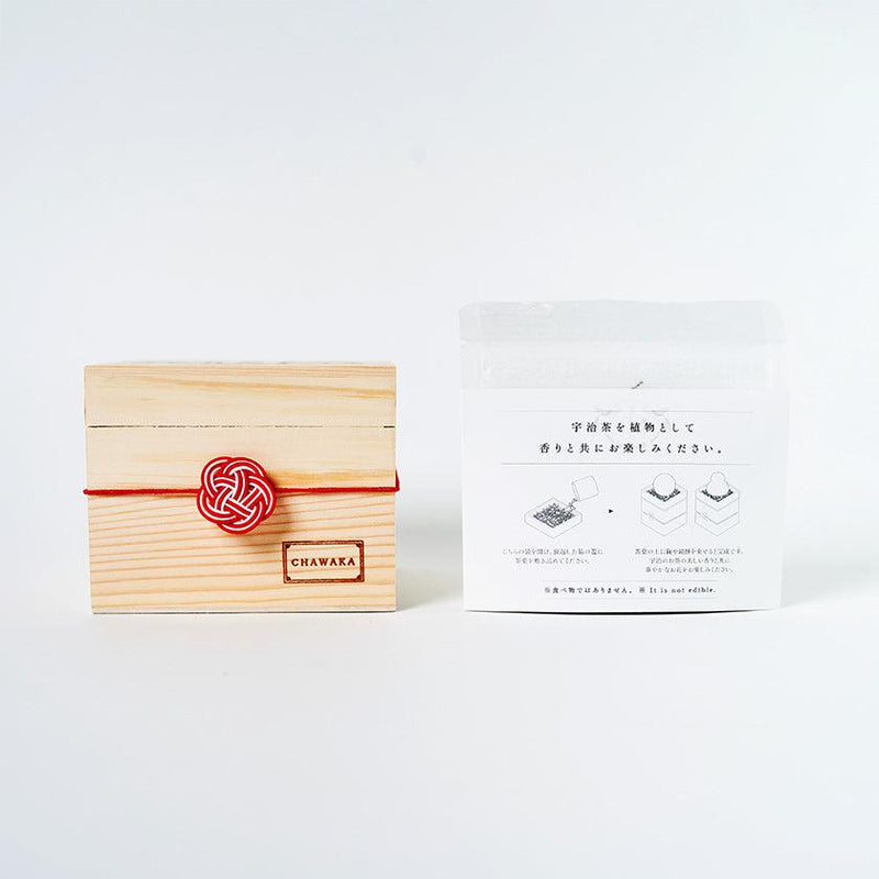 【プリザーブドフラワー】茶和花の鞠 (まり) 紅梅 | 宇治茶とフラワーデザイン | 茶和花 京都宇治