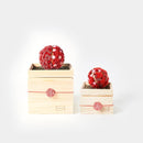 【プリザーブドフラワー】茶和花の鞠 (まり) 紅梅 | 宇治茶とフラワーデザイン | 茶和花 京都宇治