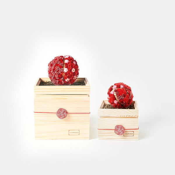 【プリザーブドフラワー】茶和花の鞠 (まり) 紅梅 | 宇治茶とフラワーデザイン | 茶和花 京都宇治