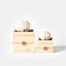 【プリザーブドフラワー】茶和花の鞠 (まり) 白梅 | 宇治茶とフラワーデザイン | 茶和花 京都宇治