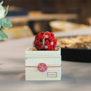 【ギフトセット】茶和花の鞠と煎茶のセット 紅梅 | 宇治茶とフラワーデザイン | 茶和花 京都宇治