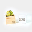 【ギフトセット】茶和花の鞠と煎茶のセット 橘 | 宇治茶とフラワーデザイン | 茶和花 京都宇治