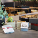 【ギフトセット】茶和花の鞠と煎茶のセット 橘 | 宇治茶とフラワーデザイン | 茶和花 京都宇治