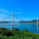 【ルームウェア】Foo Tokyo プレミアム バスローブ スーピマコットン