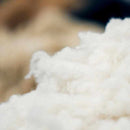 【ルームウェア】Foo Tokyo プレミアム バスローブ スーピマコットン