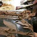 【輪島塗】楽 NERIKANSHITSU 漆スクリーン 竹林シリーズ (3点)